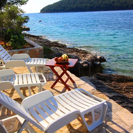 Katica * 벨라루카